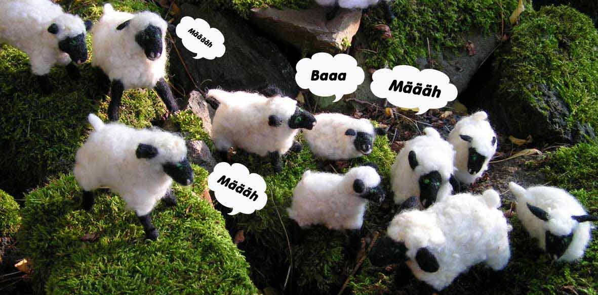 10 kleine weiße Filzschafe mit schwarzen Nasen auf Moossteinen, sie sagen in Sprechblasen Määh und eines sagt Baaa